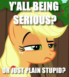 Size: 396x443 | Tagged: safe, derpibooru import, edit, edited screencap, screencap, the cart before the ponies, annoyed, caption, image macro, meme, question