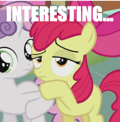 Size: 300x306 | Tagged: safe, derpibooru import, apple bloom, sweetie belle, earth pony, pony, unicorn, female, filly, frown, hoof on chin, image macro, interesting, intrigued, lidded eyes, meme