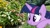 Size: 1156x650 | Tagged: safe, artist:geonine, artist:thedoubledeuced, derpibooru import, twilight sparkle, twilight sparkle (alicorn), alicorn, pony, blurry, closer, female, flower, irl, mare, outdoors, photo, ponies in real life, solo, vector