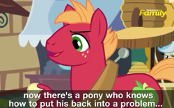 Size: 753x469 | Tagged: safe, derpibooru import, screencap, big macintosh, earth pony, pony, where the apple lies, discovery family logo, male, solo, stallion, subtitles, teenage big macintosh