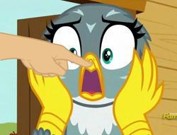 Size: 1322x1008 | Tagged: safe, derpibooru import, edit, edited screencap, screencap, gabby, griffon, the fault in our cutie marks, beakboop, boop, boop edit