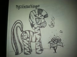 Size: 1024x765 | Tagged: safe, artist:cii, derpibooru import, oc, oc only, oc:mcmiag, zebra, annoyed, fake cutie mark, monochrome, poison joke, sticky note, traditional art