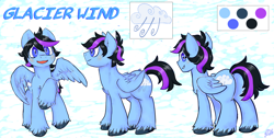 Size: 3000x1517 | Tagged: safe, artist:deep mystery, derpibooru import, oc, oc only, oc:glacier wind, pegasus, pony, blushing, commission, looking at you, looking back, plot, reference sheet, solo, spread wings, unshorn fetlocks