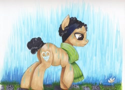 Size: 3473x2513 | Tagged: safe, artist:frozensoulpony, derpibooru import, oc, oc only, oc:chilly earthbound, clothes, flower, scarf, solo, traditional art, waterfall