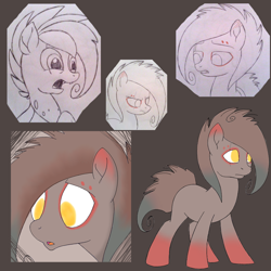 Size: 1000x1000 | Tagged: safe, artist:divergentassailant, artist:ponyponyena, derpibooru import, oc, oc only, oc:flightless, changeling, earth pony, pony, alternate hairstyle, annoyed, bust, collage, fangs, portrait, simple background, solo, species swap, standing, surprised, unamused