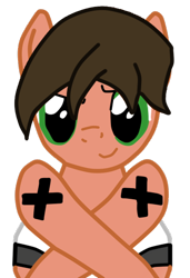Size: 339x495 | Tagged: safe, artist:superstaredge96, derpibooru import, oc, oc only, oc:superstar, 1000 hours in ms paint, clothes, cm punk, cross, crossed hooves, meme, ms paint, parody, solo, straight edge, t-shirt, wrestling, wwe