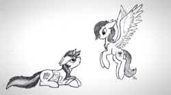 Size: 2184x1215 | Tagged: safe, artist:starlessnight22, derpibooru import, oc, oc only, oc:blackjack, oc:morning glory (project horizons), pegasus, pony, unicorn, fallout equestria, fallout equestria: project horizons, female, flying, gloryjack, lesbian, monochrome, oc x oc, shipping, simple background, sketch, traditional art