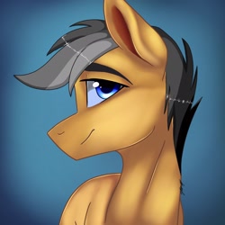 Size: 2048x2048 | Tagged: safe, artist:sugartool, derpibooru import, quibble pants, pony, simple background, solo