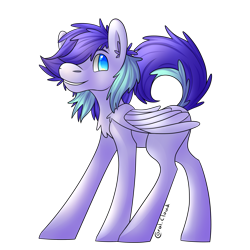 Size: 2448x2448 | Tagged: safe, artist:coralcloud, derpibooru import, oc, oc only, pegasus, pony, solo