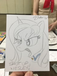 Size: 1536x2048 | Tagged: safe, artist:andypriceart, derpibooru import, beverly crusher, ponified, solo, star trek, star trek: the next generation, traditional art