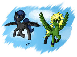 Size: 2764x2044 | Tagged: safe, artist:speed-chaser, derpibooru import, oc, oc only, oc:aiker, oc:luke lulamoon, pegasus, pony, gift art, simple background, transparent background