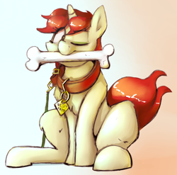 Size: 1648x1629 | Tagged: safe, artist:emberkaese, derpibooru import, oc, oc only, oc:velvet pastry, behaving like a dog, bone, collar, leash, mouth hold, pet tag, simple background, sitting