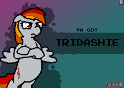 Size: 554x396 | Tagged: safe, derpibooru import, oc, oc only, oc:tridashie, pegasus, pony, banned from equestria daily, not rainbow dash, photoshop, recolor, solo