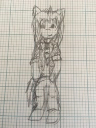 Size: 2448x3264 | Tagged: safe, artist:ryodisk, derpibooru import, oc, oc only, oc:ryo disk, anthro, clothes, doodle, graph paper, practice drawing, practice sketch, teacher, traditional art