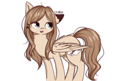 Size: 4000x2562 | Tagged: safe, artist:chimeeri, derpibooru import, oc, oc only, pegasus, pony, open mouth, ponysona, simple background, solo, transparent background