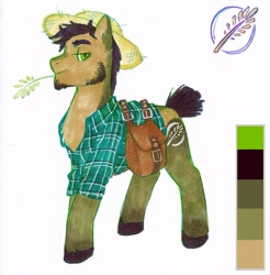 Size: 2016x2048 | Tagged: safe, artist:somepony-ul, derpibooru import, oc, oc only, earth pony, pony, handsome, male, reference sheet, solo, stallion