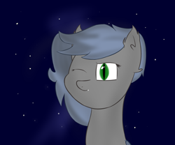 Size: 1800x1500 | Tagged: safe, artist:melon frost, oc, oc only, oc:eclipse penumbra, bat pony, pony, bust, ear fluff, night, night sky, one eye closed, portrait, smiling, solo, stars, wink