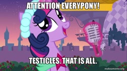 Size: 800x449 | Tagged: safe, derpibooru import, edit, edited screencap, screencap, twilight sparkle, a canterlot wedding, caption, family guy, image macro, meme, microphone, solo, vulgar