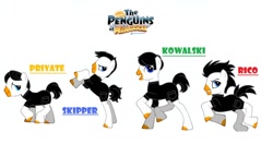 Size: 1024x542 | Tagged: safe, pony creator, crossover, kowalski, ponified, private, rico, skipper, the penguins of madagascar