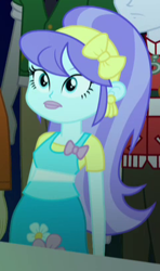 Size: 241x406 | Tagged: safe, screencap, aqua blossom, heath burns, indigo wreath, normal norman, equestria girls, rainbow rocks, cropped, solo focus