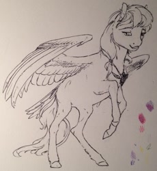 Size: 400x434 | Tagged: safe, artist:cuttledreams, derpibooru import, oc, oc only, pegasus, pony, hair tie, lineart, solo, tail feathers, traditional art, unnamed oc, unshorn fetlocks