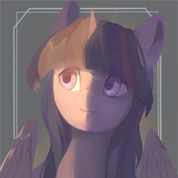 Size: 1000x1000 | Tagged: safe, artist:haidiannotes, twilight sparkle, twilight sparkle (alicorn), alicorn, pony, solo