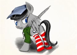 Size: 3500x2522 | Tagged: safe, artist:chopsticks, oc, oc only, oc:chopsticks, pegasus, pony, annoyed, blue eyes, clothes, digital art, digital painting, hat, jacket, male, ponysona, socks, solo, stallion, striped socks