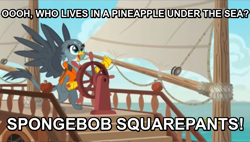 Size: 929x529 | Tagged: safe, derpibooru import, edit, edited screencap, screencap, gabby, griffon, the fault in our cutie marks, caption, gabby's shanty, image macro, meme, spongebob squarepants