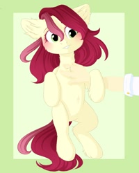 Size: 800x1000 | Tagged: safe, alternate version, artist:haru_s, roseluck, earth pony, pony, bellyrubs, blushing, chest fluff, cute, ear fluff, female, fluffy, hand, mare, offscreen character, on back, petting, pony pet, rosepet, solo focus