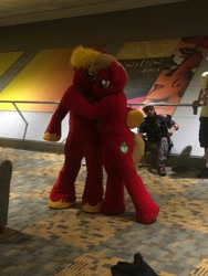 Size: 960x1280 | Tagged: artist needed, safe, derpibooru import, big macintosh, macareina, human, bronycon, bronycon 2016, cuddling, fursuit, hug, irl, irl human, photo, rule 63, self ponidox, snuggling