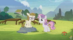 Size: 848x465 | Tagged: safe, screencap, sweetie belle, zippoorwhill, pony, forever filly