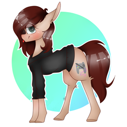 Size: 4000x4000 | Tagged: safe, artist:leticiacristina1, oc, oc only, earth pony, pony, clothes, female, mare, solo