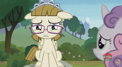 Size: 848x465 | Tagged: safe, screencap, sweetie belle, zippoorwhill, pony, forever filly, floppy ears, sad