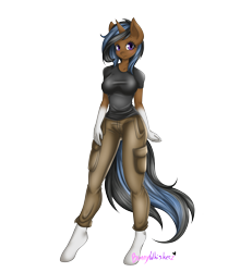 Size: 2500x2700 | Tagged: safe, artist:bunnywhiskerz, oc, oc only, oc:sapphire, anthro, unguligrade anthro, anthro oc, cargo pants, clothes, pants, shirt, simple background, solo, t-shirt, transparent background