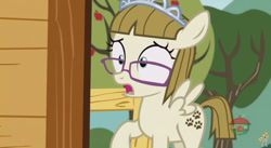 Size: 844x462 | Tagged: safe, screencap, zippoorwhill, pony, forever filly, solo