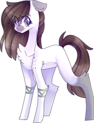 Size: 1244x1623 | Tagged: safe, artist:emily-826, oc, oc only, oc:charley, earth pony, pony, female, mare, simple background, solo, transparent background