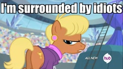 Size: 1100x618 | Tagged: safe, edit, edited screencap, screencap, ms. harshwhinny, earth pony, pony, equestria games (episode), all new, annoyed, hub logo, i'm surrounded by idiots, image macro, meme, plot, reaction image, text