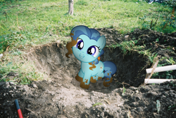 Size: 1818x1228 | Tagged: safe, artist:harpycross, derpibooru import, petunia paleo, the fault in our cutie marks, backyard, cute, digging, dirty, hole, irl, petuniabetes, photo, photoshop, ponies in real life, solo, vector, weapons-grade cute