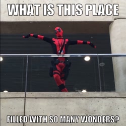 Size: 640x640 | Tagged: safe, artist:rj_para, derpibooru import, human, barely pony related, bronycon, clothes, cosplay, costume, deadpool, image macro, irl, irl human, marvel, meme, photo, so many wonders