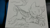 Size: 1200x675 | Tagged: artist needed, safe, derpibooru import, oc, oc only, oc:ralek, griffon, cute, eyes closed, fluffy, monochrome, pencil drawing, prone, sketch, sleeping, solo, talons, traditional art