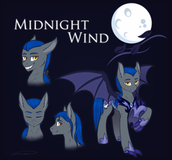 Size: 2256x2100 | Tagged: safe, artist:doekitty, oc, oc:midnight wind, bat pony, pony, armor, helmet, high res, male, moon, night guard, reference sheet, solo, stallion