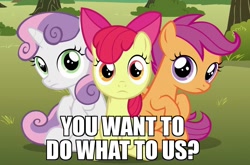 Size: 915x604 | Tagged: safe, derpibooru import, edit, edited screencap, screencap, apple bloom, scootaloo, sweetie belle, the fault in our cutie marks, adorabloom, caption, cute, cutealoo, cutie mark crusaders, diasweetes, image macro, looking at you, meme, sitting, this will end in jail time, this will end in tears and/or death and/or covered in tree sap