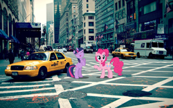 Size: 1024x640 | Tagged: safe, artist:dashiesparkle, artist:jerryakira79, derpibooru import, pinkie pie, twilight sparkle, car, crown victoria, eyes closed, irl, new york city, photo, ponies in real life, rearing, taxi, van