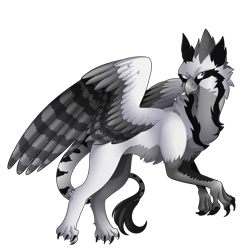 Size: 2100x2100 | Tagged: safe, artist:scarlet-spectrum, derpibooru import, oc, oc only, griffon, simple background, solo, transparent background