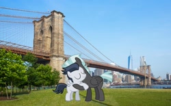 Size: 1407x875 | Tagged: safe, artist:jawsandgumballfan24, rumble, thunderlane, pony, brooklyn, brooklyn bridge, brotherly love, brothers, cute, irl, new york city, photo, ponies in real life, rumblebetes