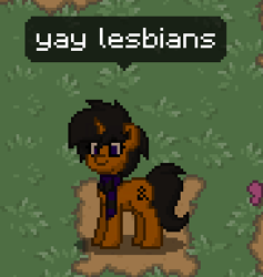 Size: 274x289 | Tagged: safe, derpibooru import, screencap, oc, oc only, pony, implied lesbian, pony town