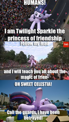 Size: 672x1190 | Tagged: safe, twilight sparkle, twilight sparkle (alicorn), alicorn, human, balloon, chile, comic, deflation, dialogue, funny, image macro, irl, irl human, meme, parade, parade balloon, photo, smiling