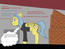 Size: 800x600 | Tagged: safe, artist:l.scratch, oc, oc only, oc:sandy stormbreaker, pony