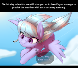 Size: 2400x2100 | Tagged: safe, artist:captainpudgemuffin, cloudchaser, pegasus, pony, cloud, commission, cute, cutechaser, female, flying, innocence, mare, rain, solo, spread wings, thought bubble, wings