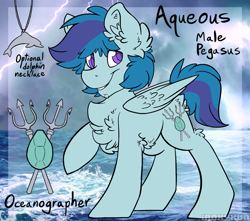 Size: 1801x1593 | Tagged: safe, artist:iroxykun, derpibooru import, oc, oc only, oc:aqueous, dolphin, pegasus, pony, chest fluff, cutie mark, jewelry, male, necklace, reference sheet, solo, stallion, text, wings